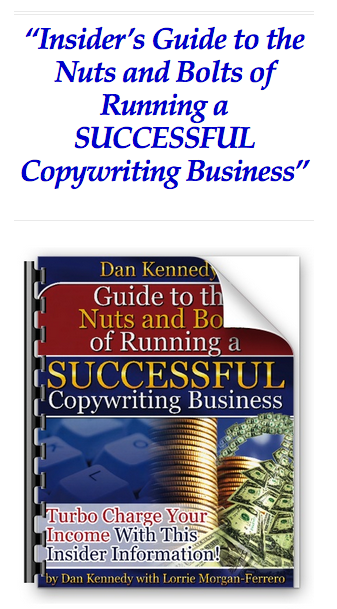 Insider’s Guide to the Nuts and Bolts of Running a SUCCESSFUL Copywriting Business download