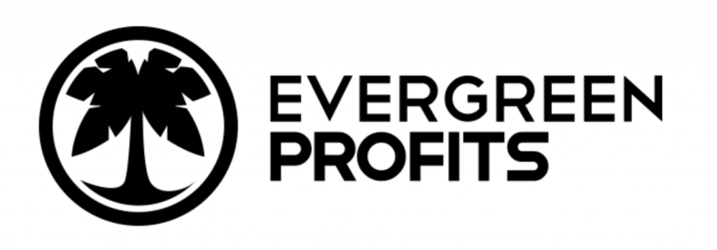 Evergreen Profits Newsletter 2020-2021 – Hustle & Flowchart