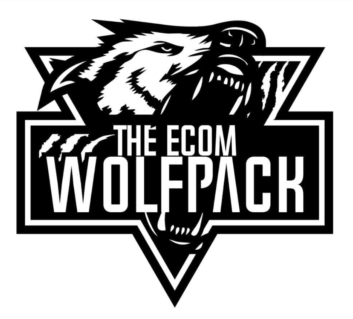 Get The Ecom Wolf Pack Dropshipping To Branding Course Free Download Ecashminer 