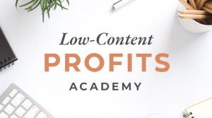 Rachel Harrison – Low-Content Profits Academy